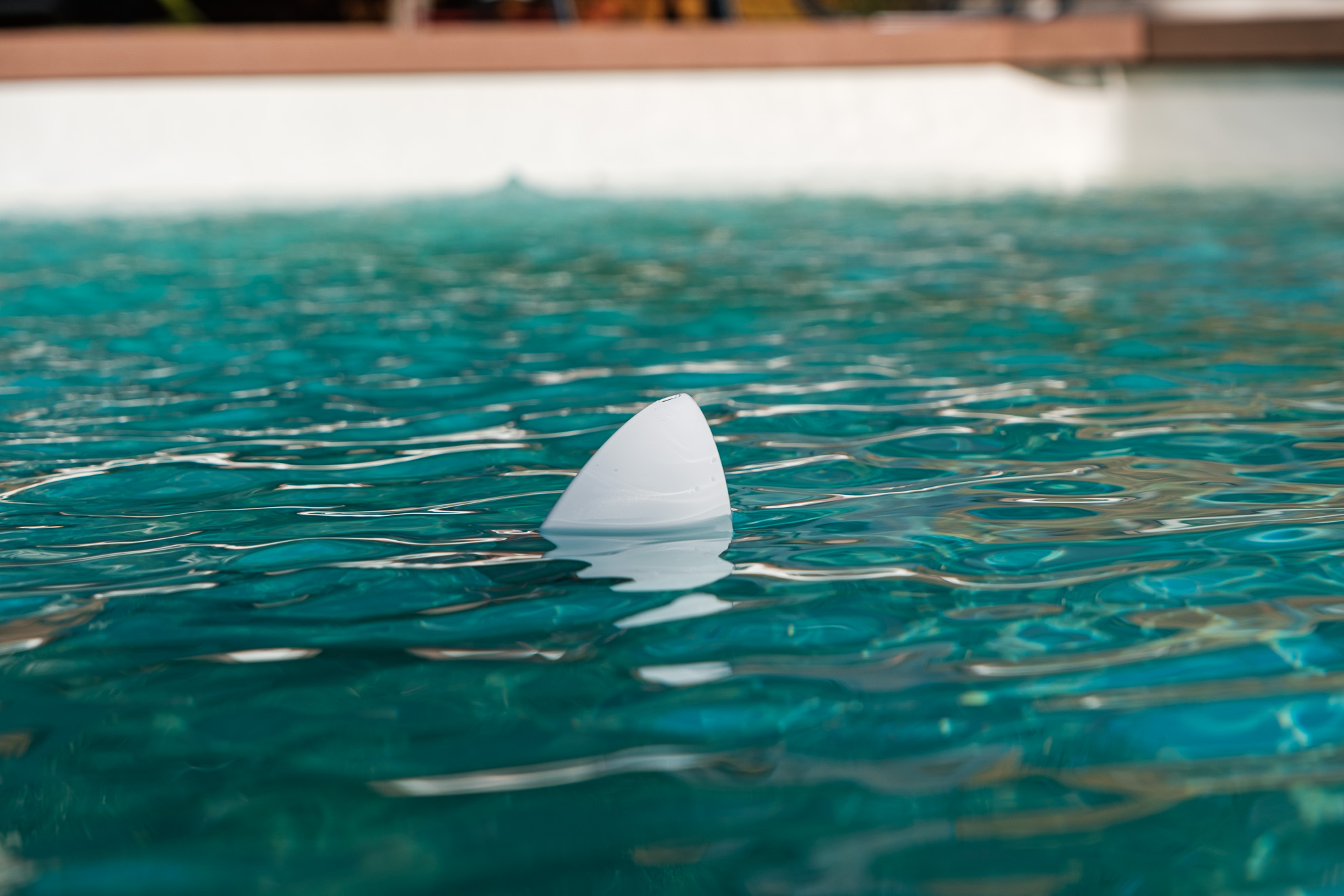 Flipr Start : adoptez un requin dans votre piscine (et ça lui fera du bien!)